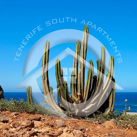 Vistas * Arona (Tenerife)